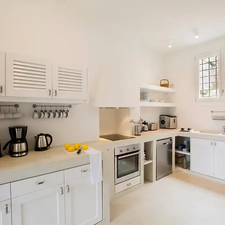 Perivoli In Lemon Orchard וילה Mesaria (Andros)