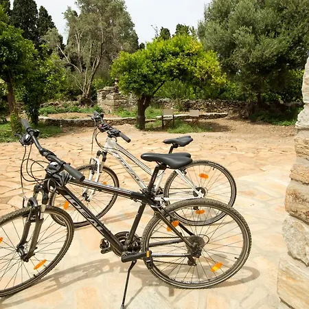 Perivoli In Lemon Orchard * Mesaria (Andros)